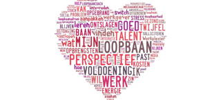 Beroepskeuzeonderzoek