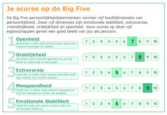 competentie assessment systeem_2