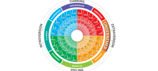 Teamsessie: de 4-kleuren van The Bridge Personality persoonlijkheidstest