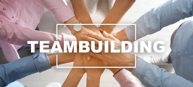Teambuilding met een persoonlijkheidstest organiseren? Aan de slag met het doe-het-zelfpakket.
