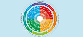 The Bridge Personality: 4-colours