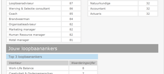 Loopbaanscan
