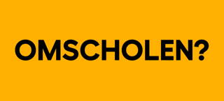Omscholen? Snel loopbaanbegeleiding met een beroepskeuzetest