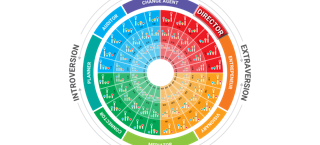 The Bridge Personality: 4-Kleurentest